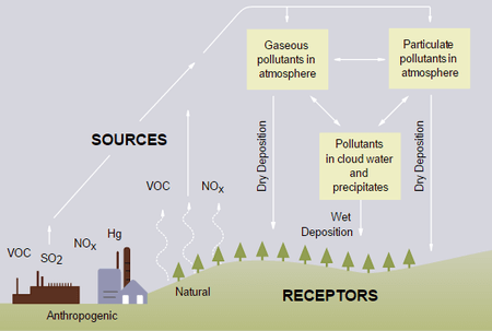 geneacion de lluvia acida por exceso de oxido de nitrogeno en aire