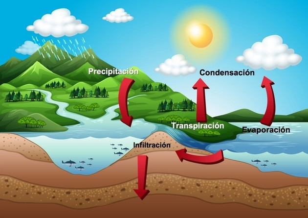 Ciclo del agua por https://www.todamateria.com/ciclo-del-agua/