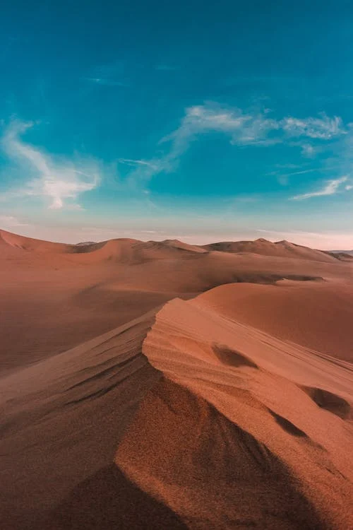 Descubre los distintos climas del desierto y cómo afectan a la vida en este ecosistema
