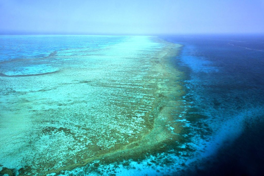 Gran barrera de coral australiana